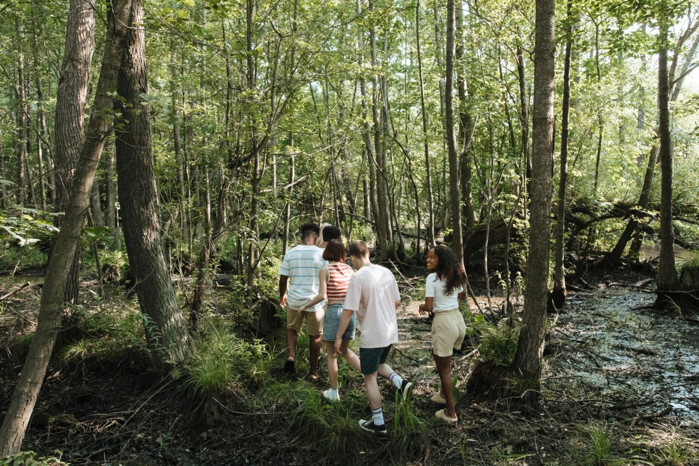 A diverse group of teenagers walking together through a sunny green forest in summer