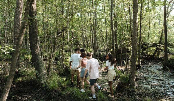A diverse group of teenagers walking together through a sunny green forest in summer